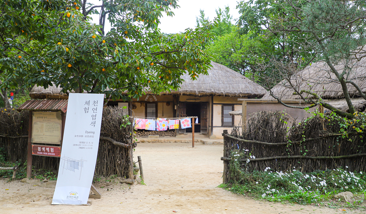한국민속촌 천연염색 체험 이미지