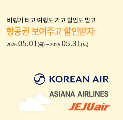 항공3사 할인