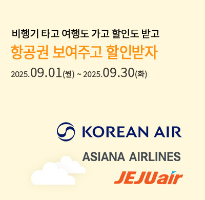 항공사 할인